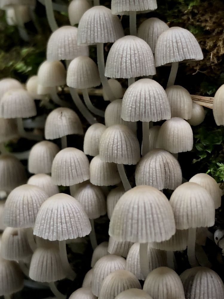 Фотография автора Евгения Елисеева