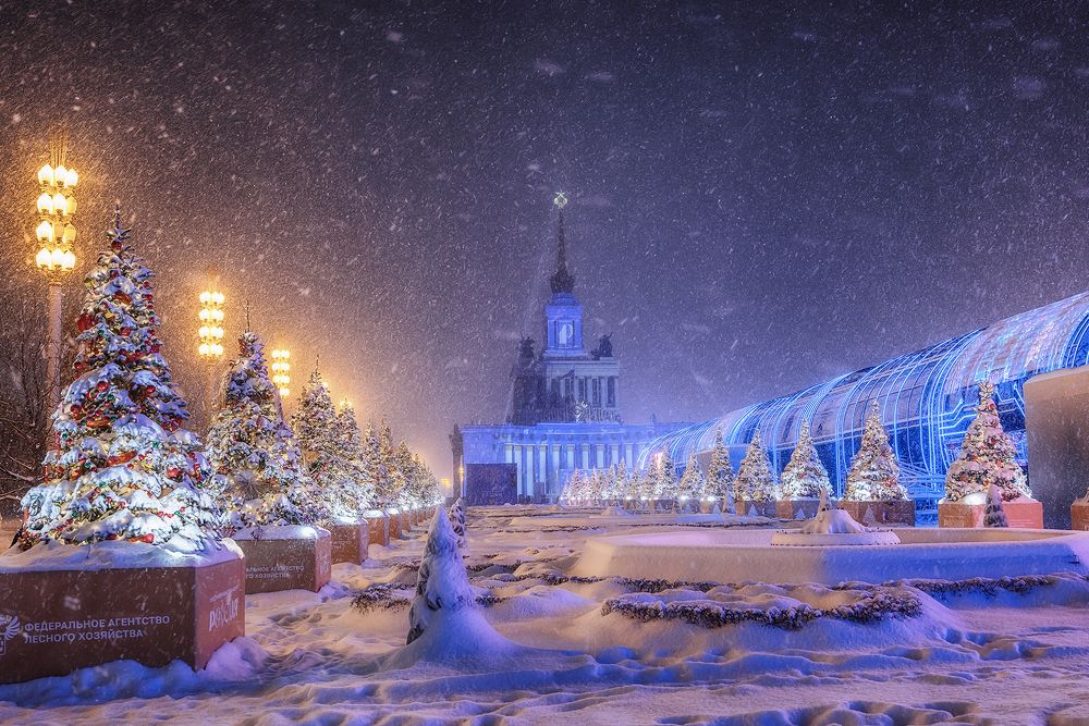 Photograph by Липецких Владимир