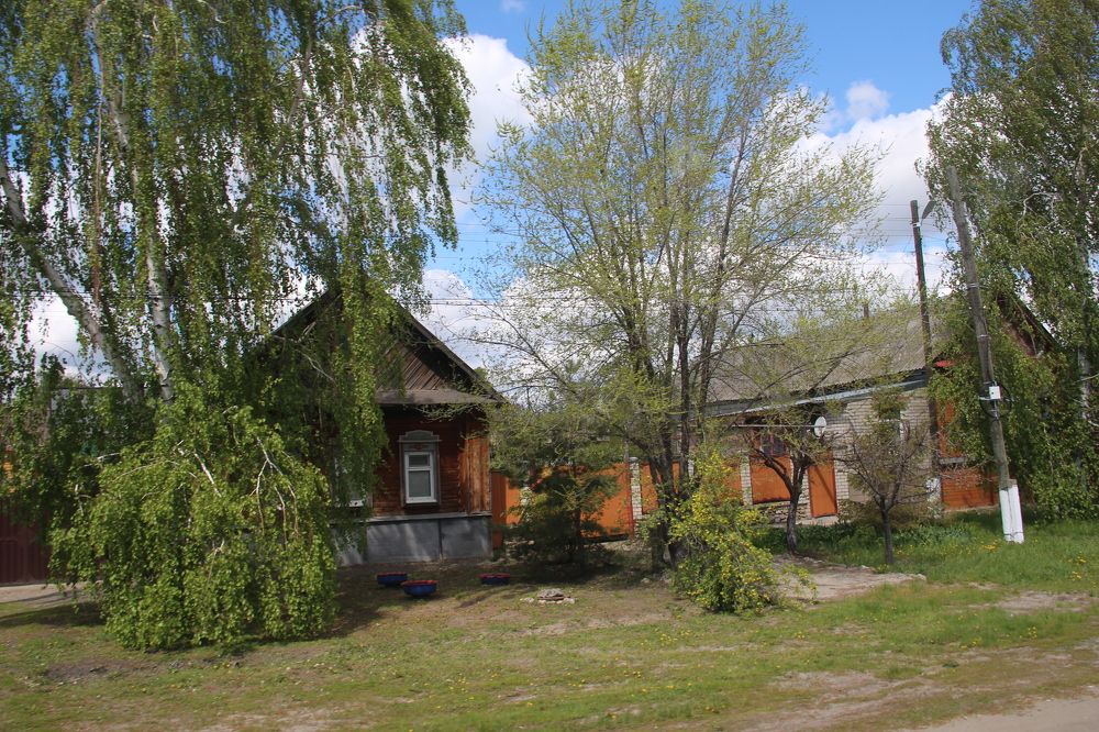 Photograph by Валентина