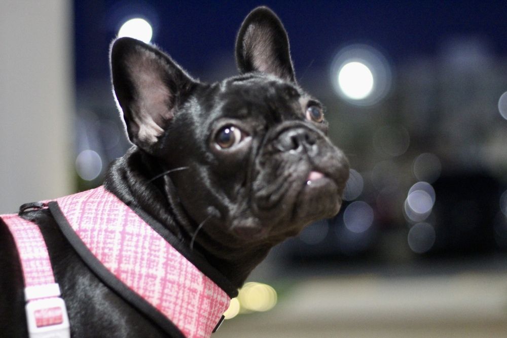 Фотография автора Jose Otero