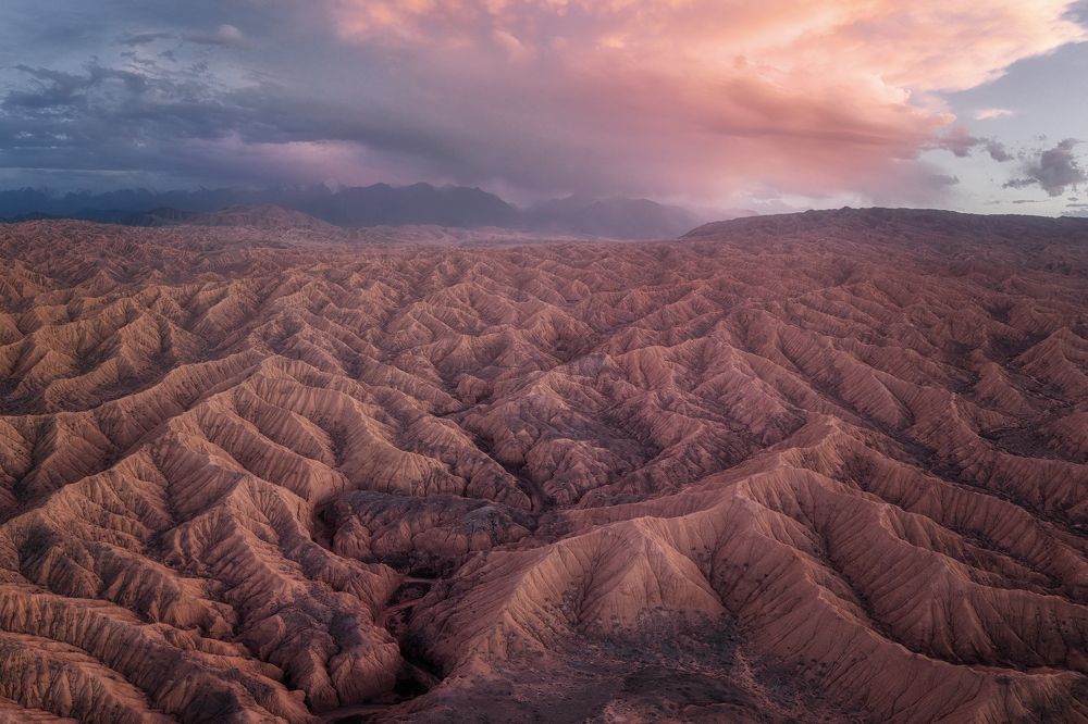 Photograph by Marina Sorokina