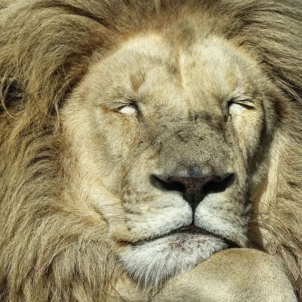 Фотография автора Bastini Gabriele