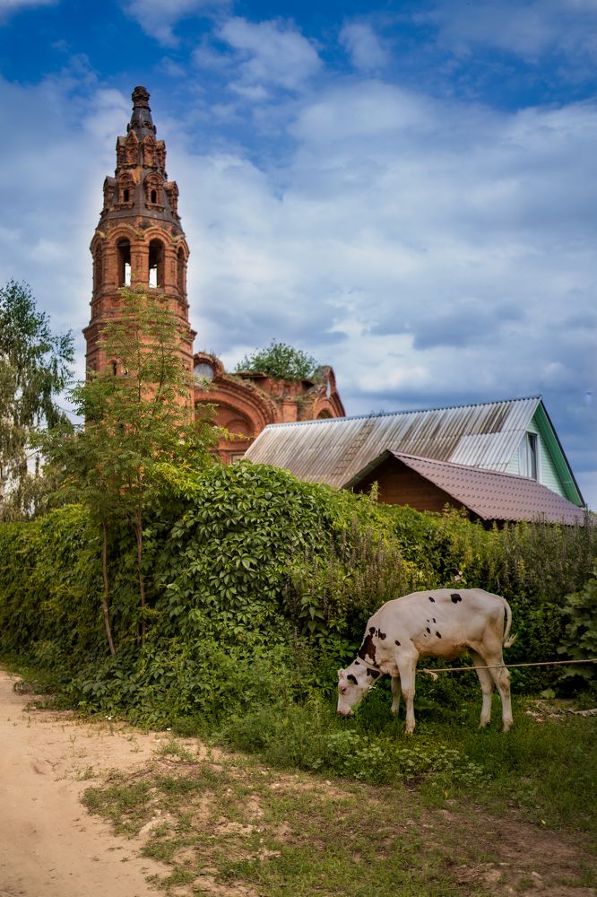 Photograph by Татьяна Алешина