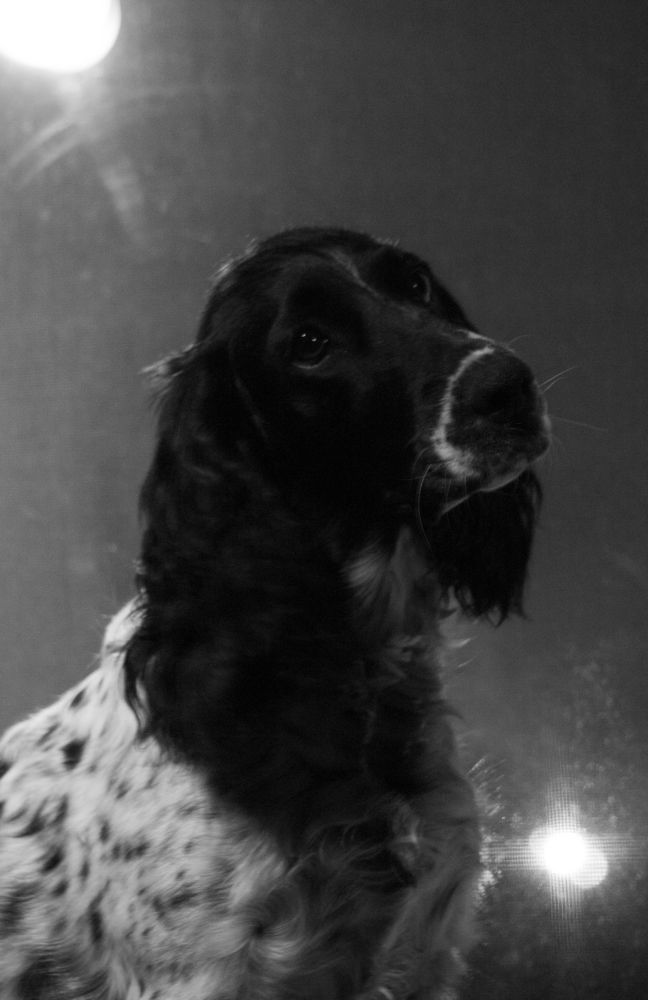 Фотография автора Максим