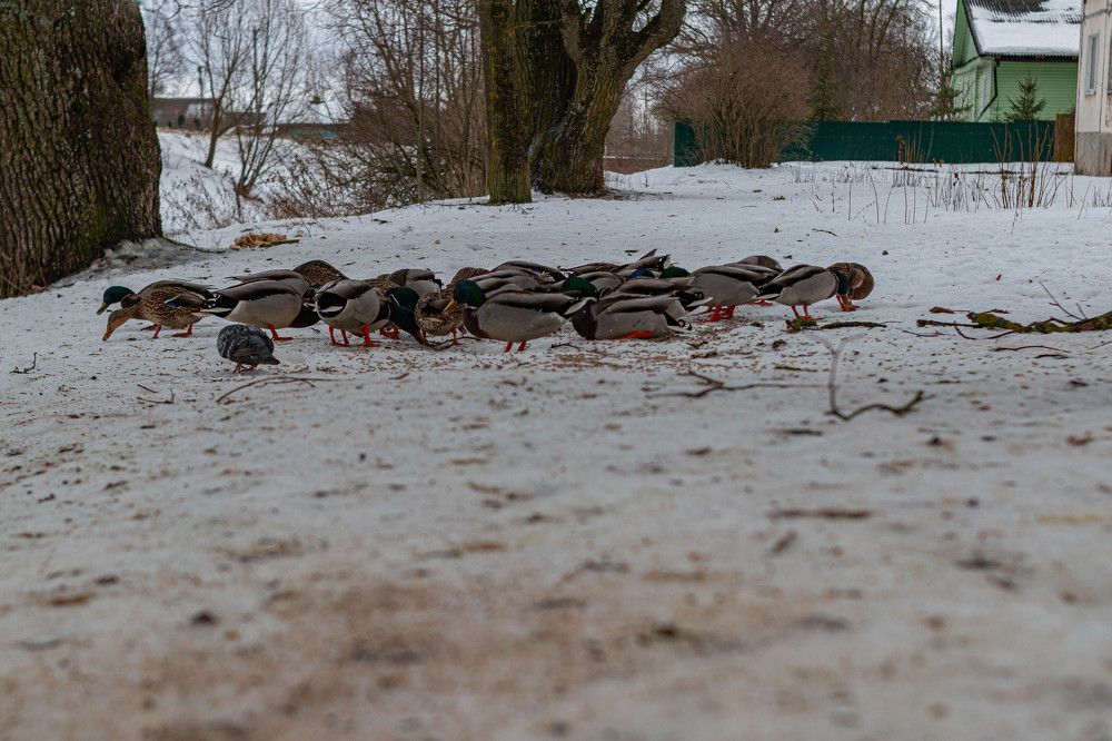 Photograph by Мария Громова