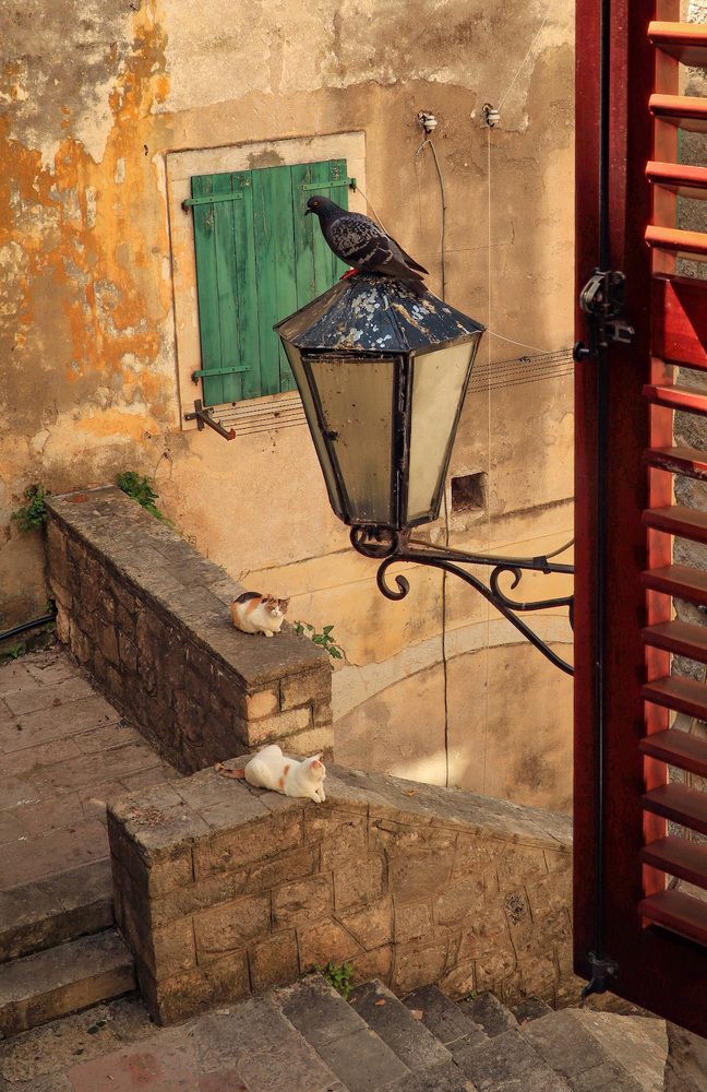 Photograph by Владимир Приходько