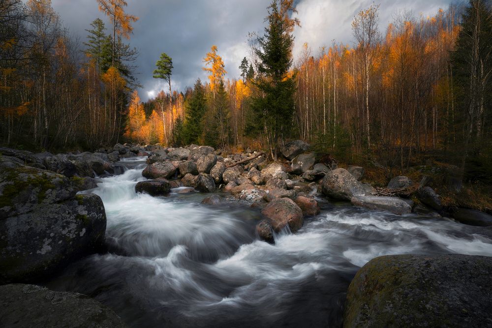 The last colors of Autumn