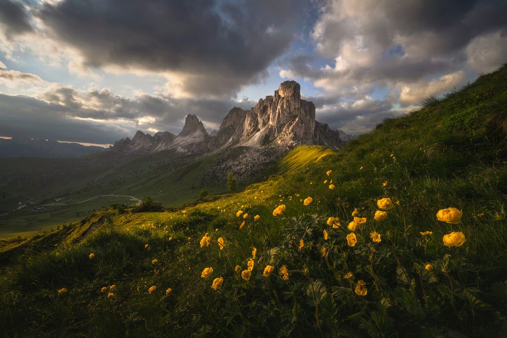 Blooming Dolomites