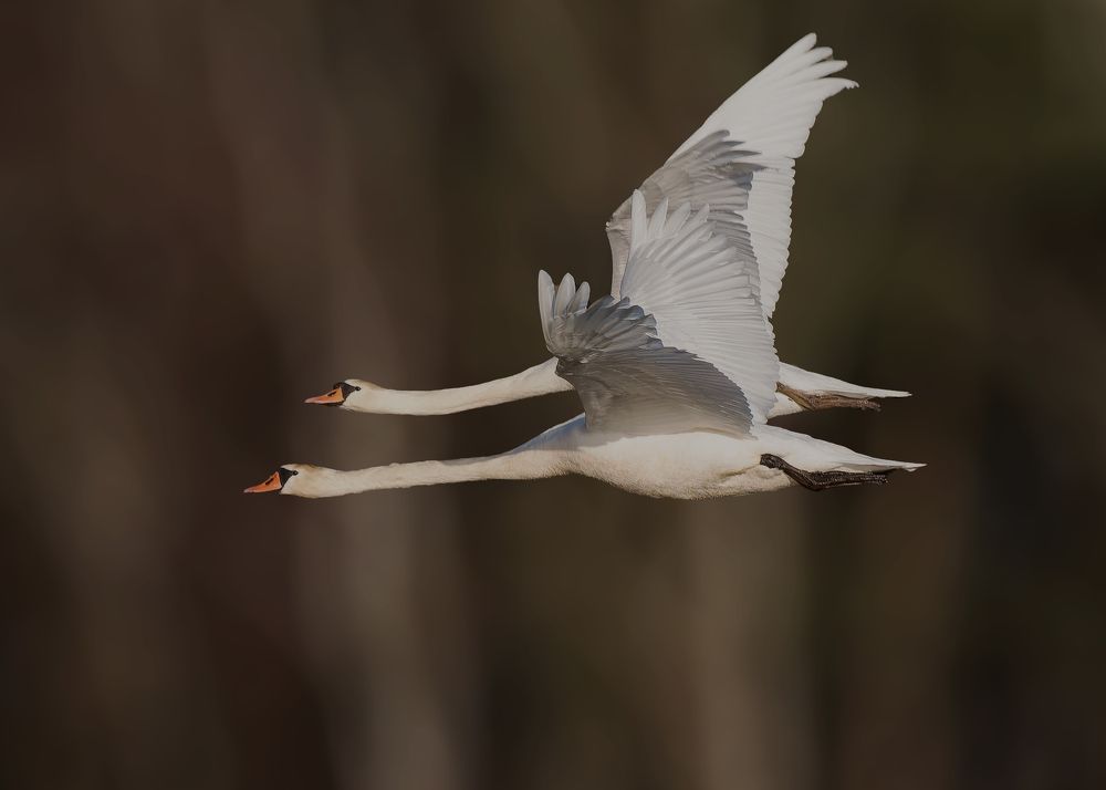 Photograph by Wendy Vanhoudt