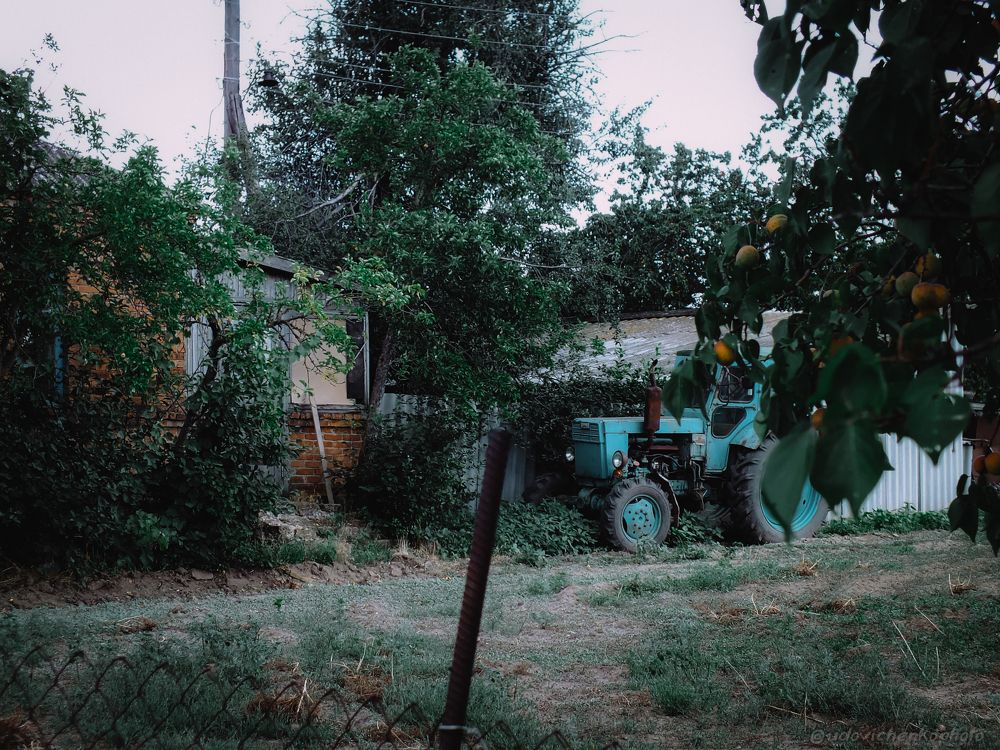 Photograph by Сергей Удовиченко