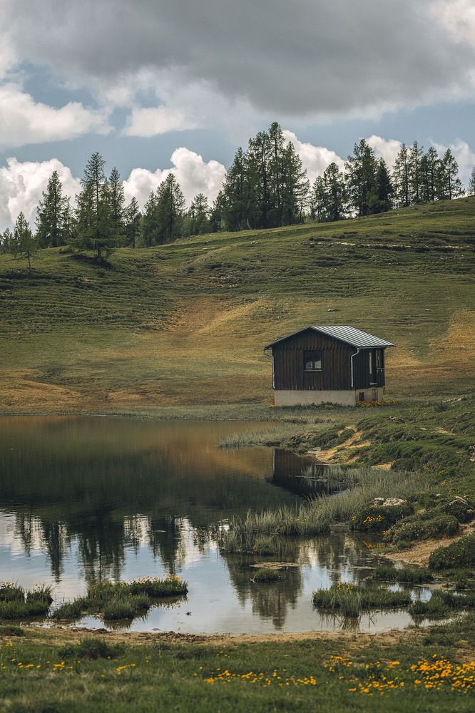 Photograph by Александра Гревцева