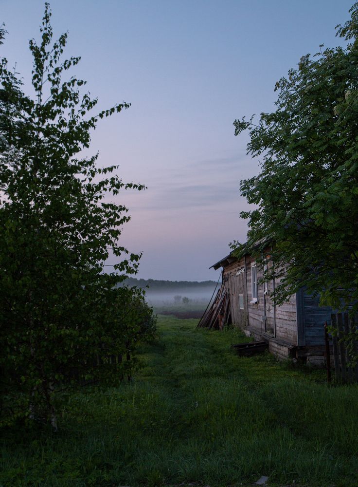 Photograph by Александр Мамойлов