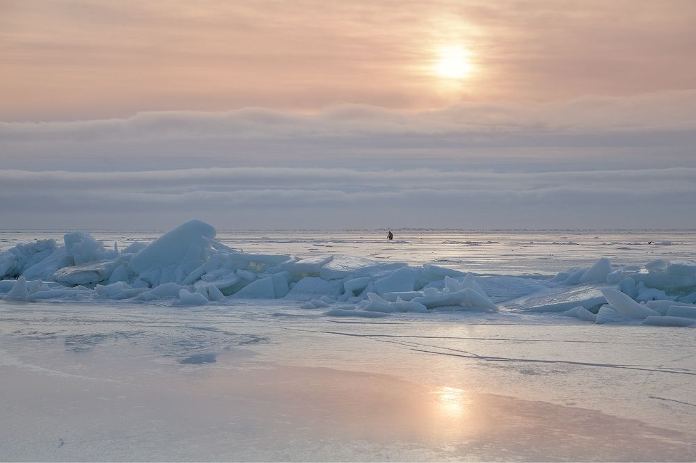 Photograph by Ирина Заколдаева
