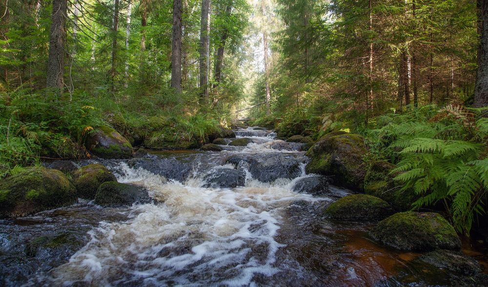 Photograph by Ирина Заколдаева