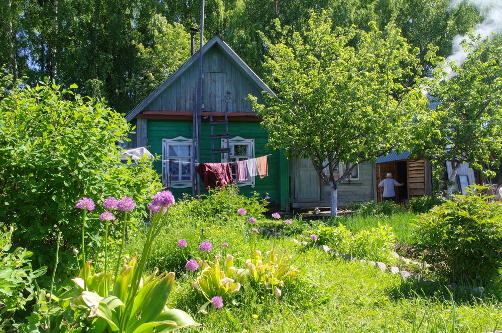 Photograph by Дмитрий Смирнов