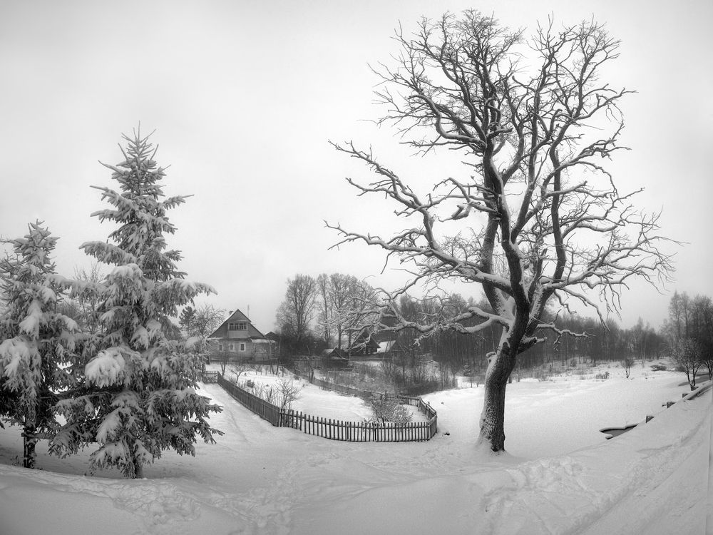 Photograph by Ирина Заколдаева