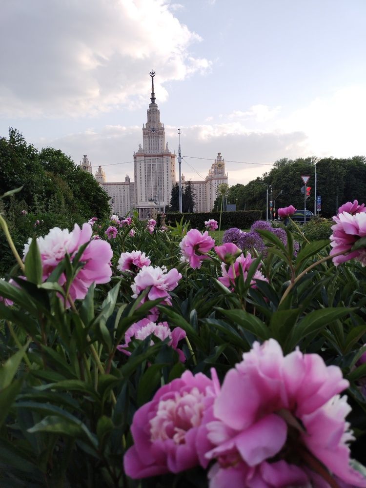 Photograph by Lidnichenko Anna