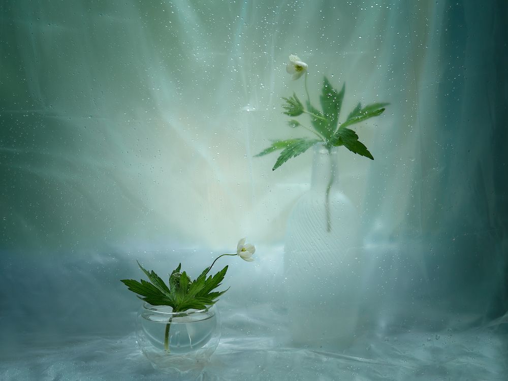 Photograph by Ирина Заколдаева