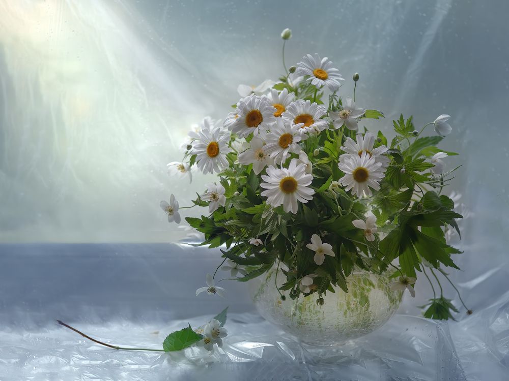 Photograph by Ирина Заколдаева