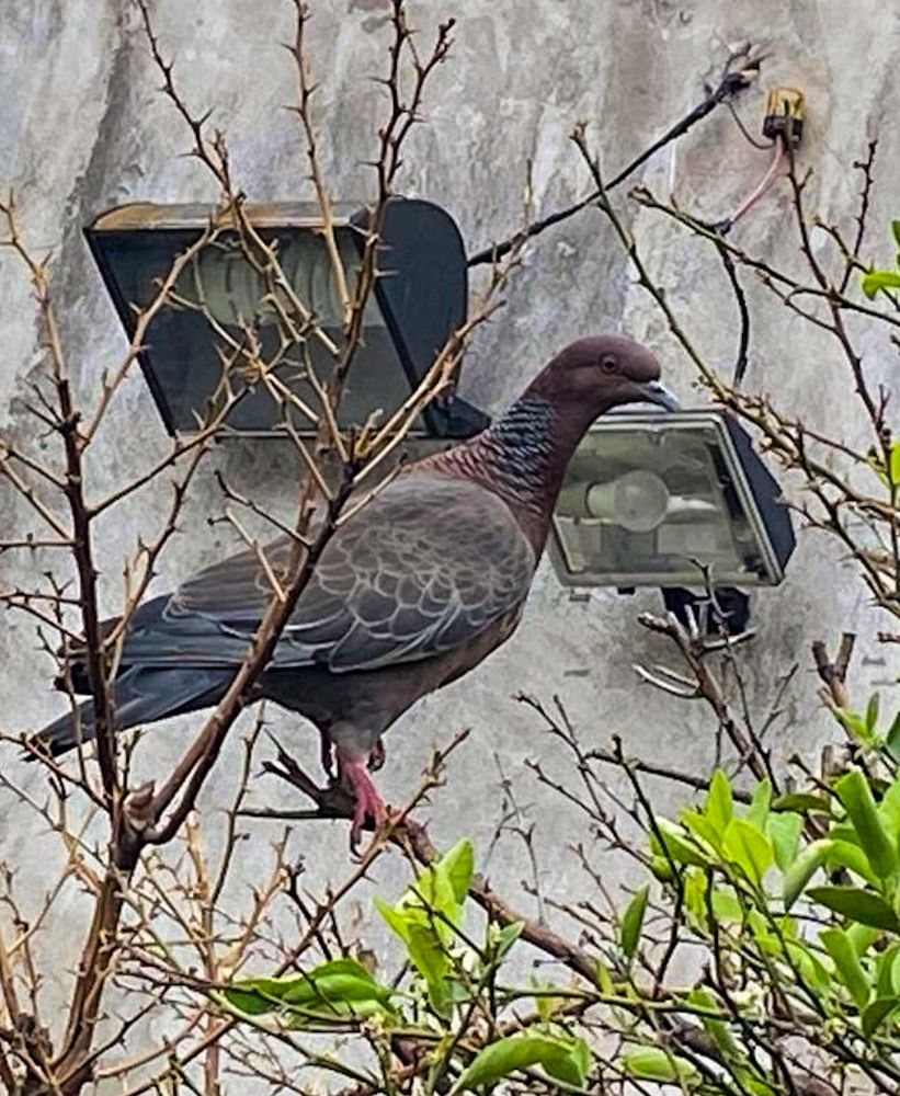 Photograph by Maria Julieta ZURZOLO