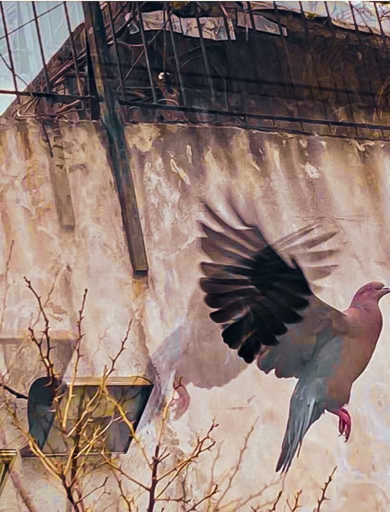 Photograph by Maria Julieta ZURZOLO