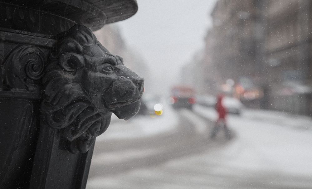 Прогулки по зимнему Санкт-Петербургу