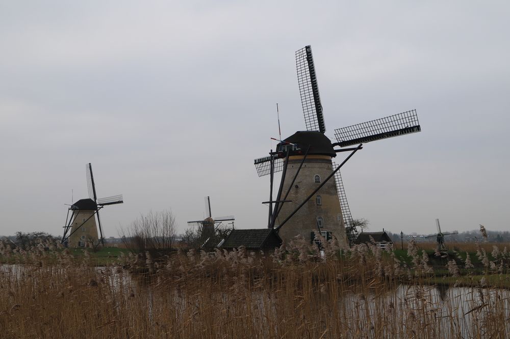 Photograph by Alejandro Glade