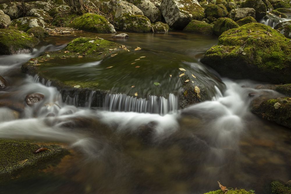 Photograph by ALEKSANDR KUZNETSOV