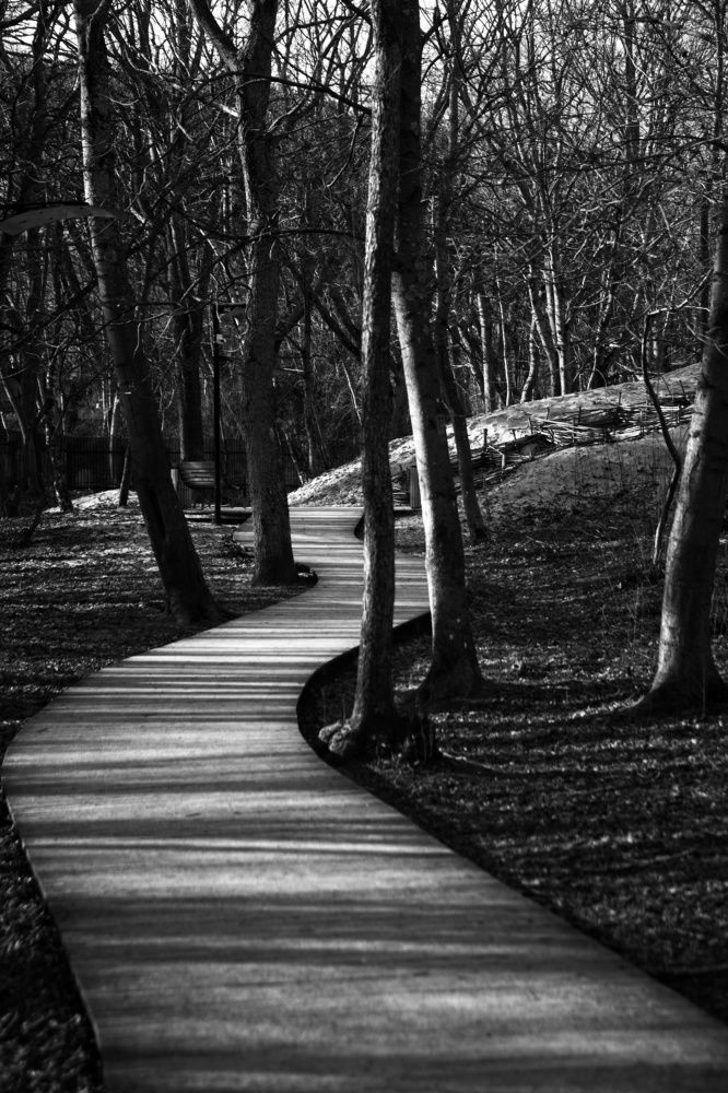 Photograph by Владимир Леликов-Кузьменко