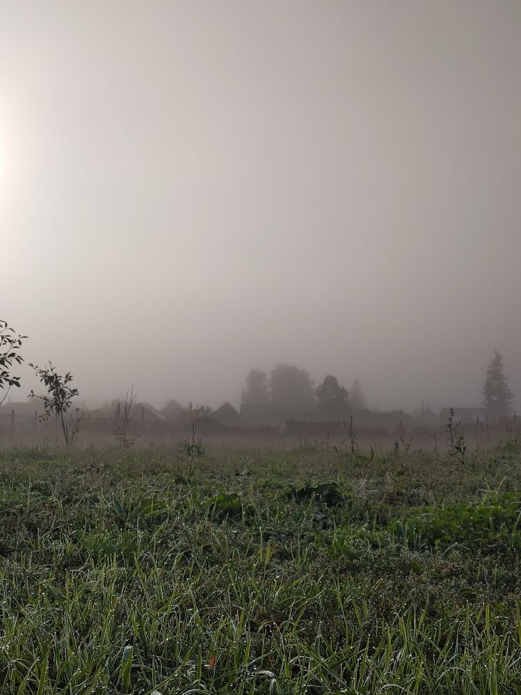 Photograph by Рина Хуртова