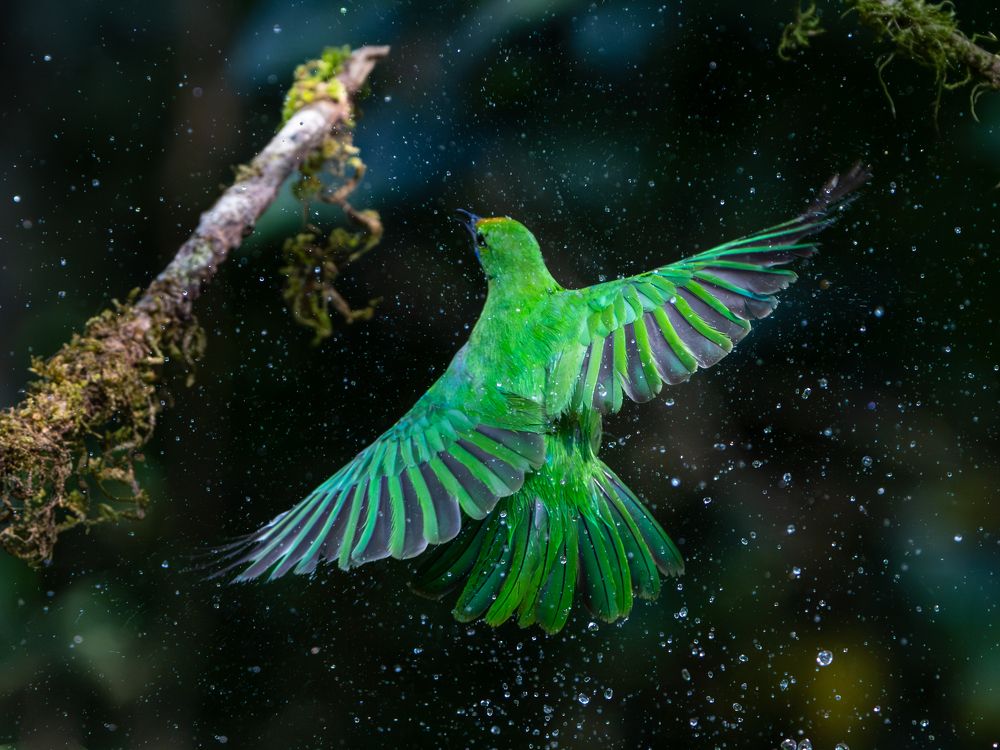 Photograph by Vipin P C