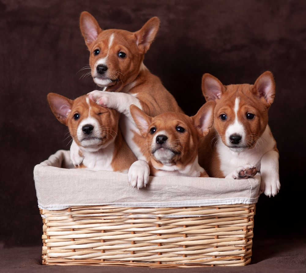 Photograph by Антонина Копытина