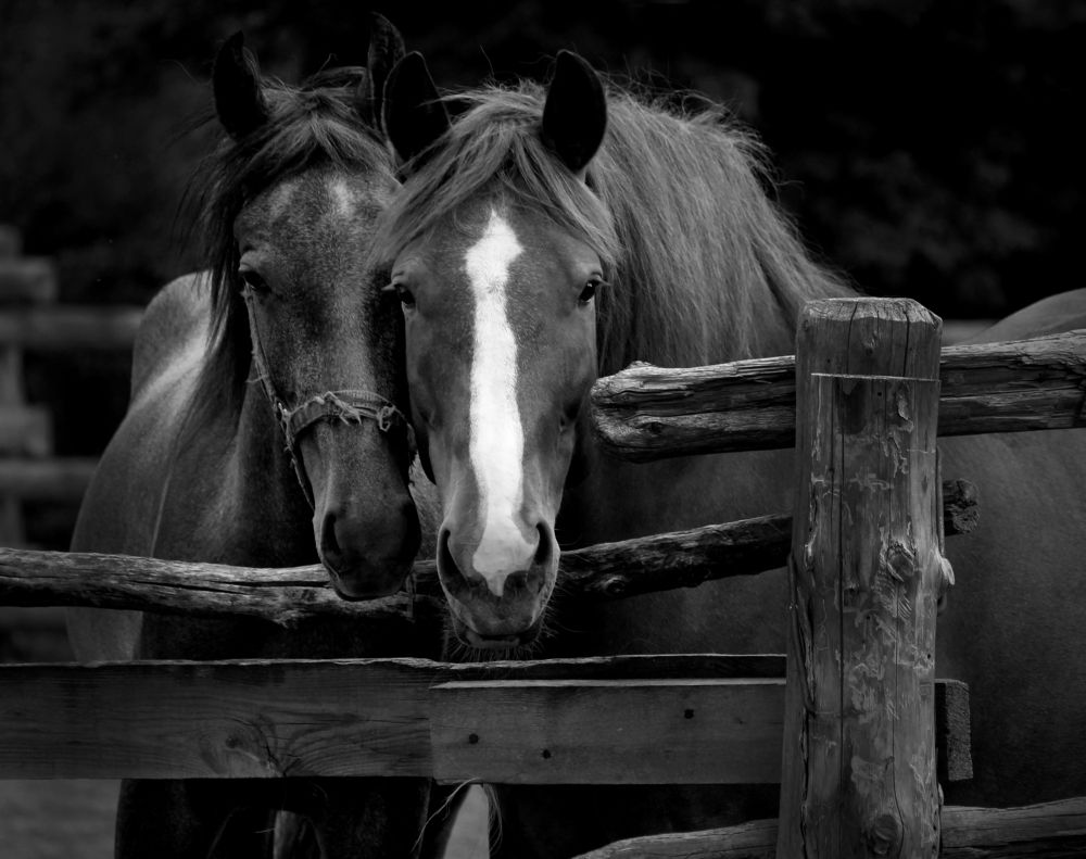 Photograph by Зоя Быкова