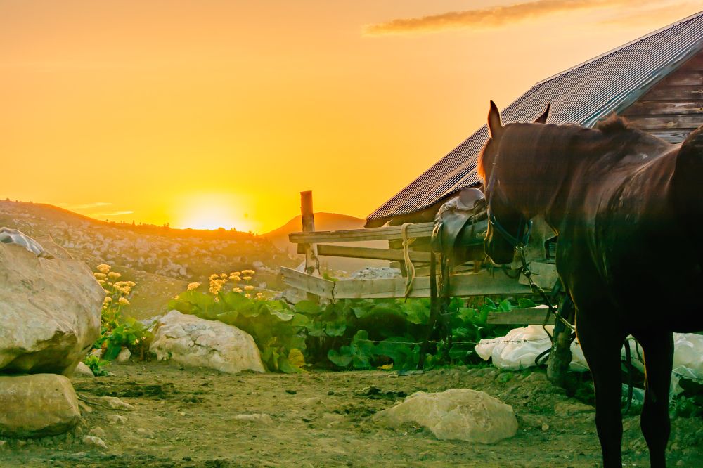 Photograph by Саша Козырев