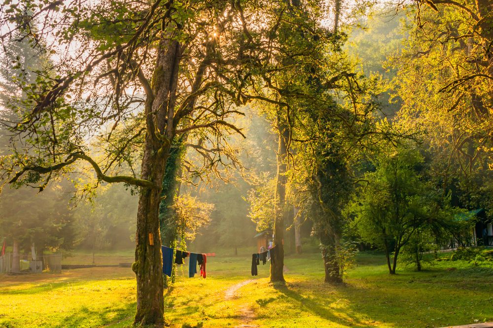 Photograph by Саша Козырев