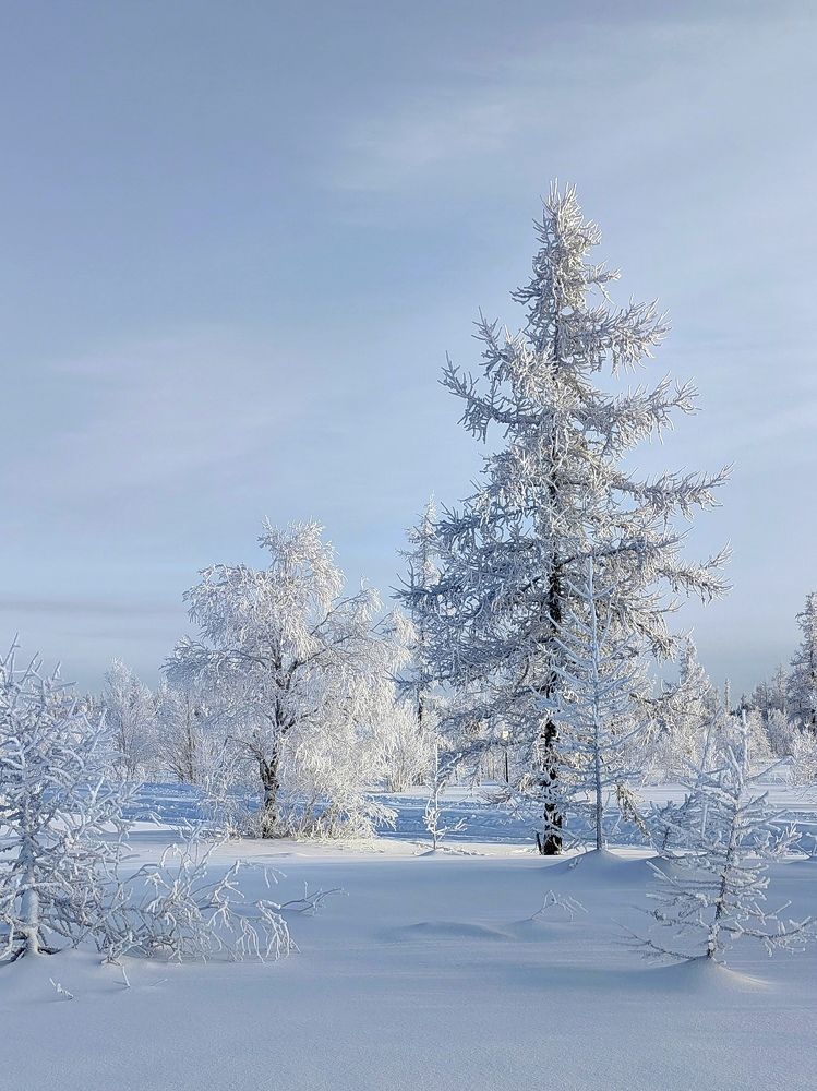 Photograph by Юлия Арестова