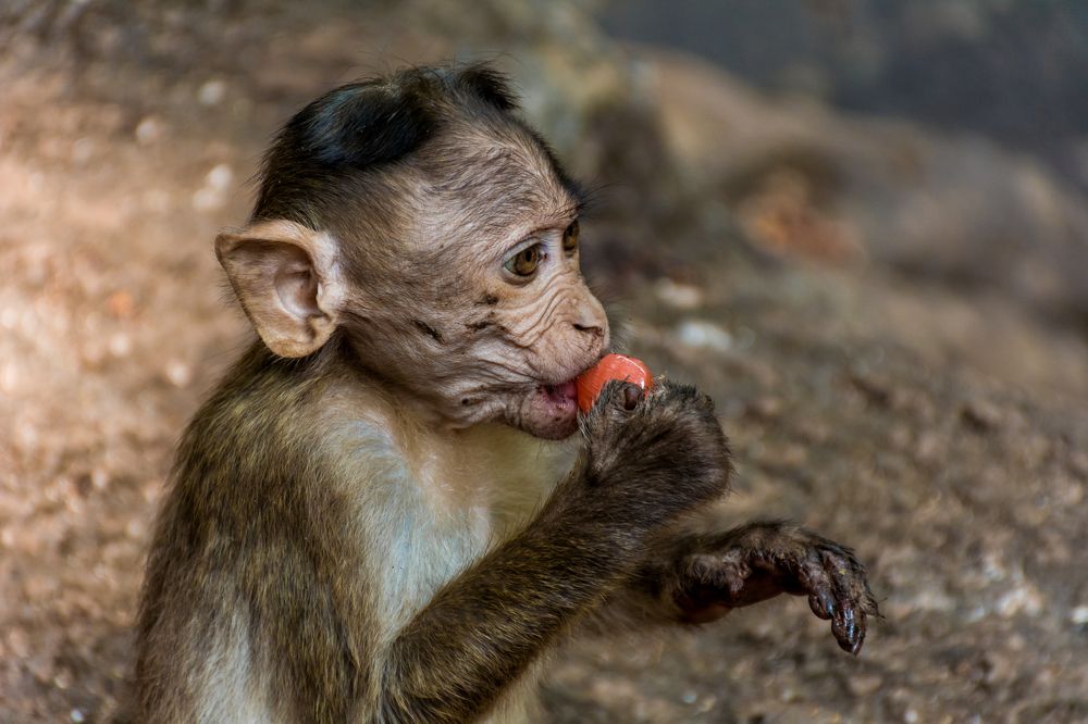 Photograph by Юлия Подлеснова