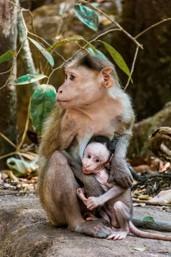 Photograph by Юлия Подлеснова