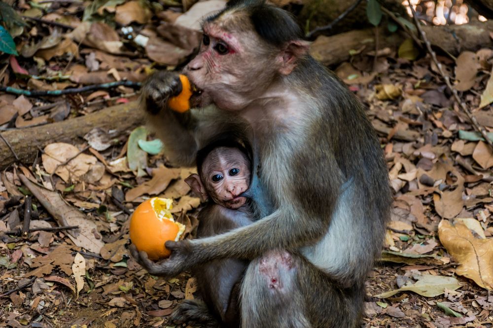 Photograph by Юлия Подлеснова