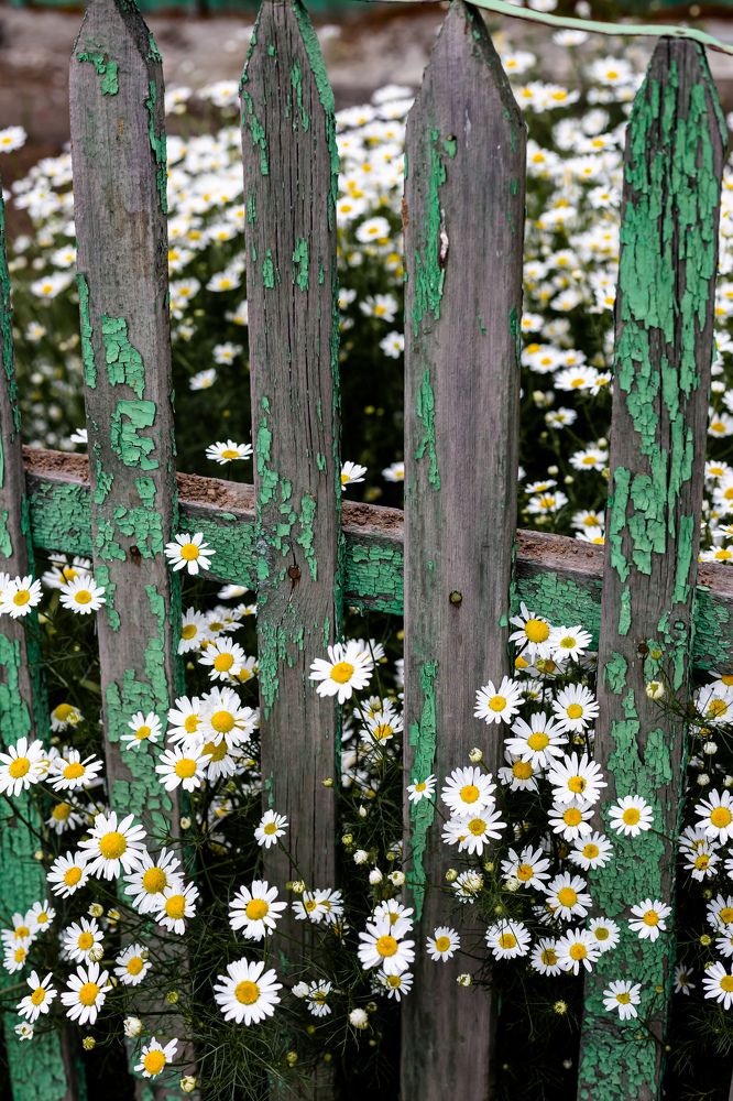 Photograph by Оксана