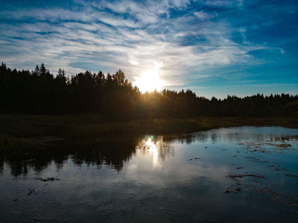 Утро в деревне