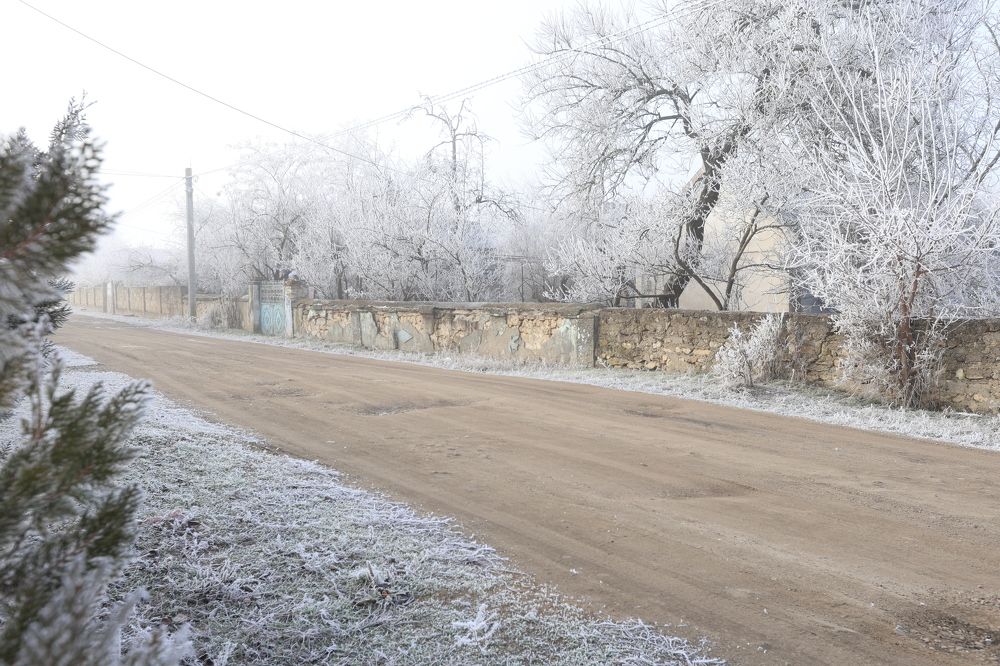 Photograph by Александр Шептикин