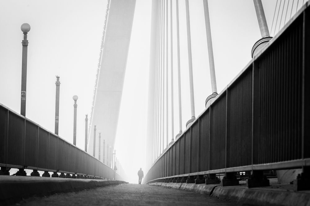 Photograph by Priyesh kumar