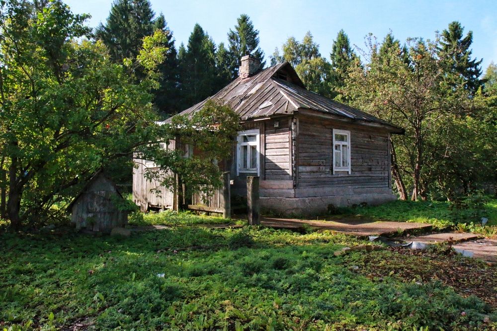 Photograph by Лена Суворова