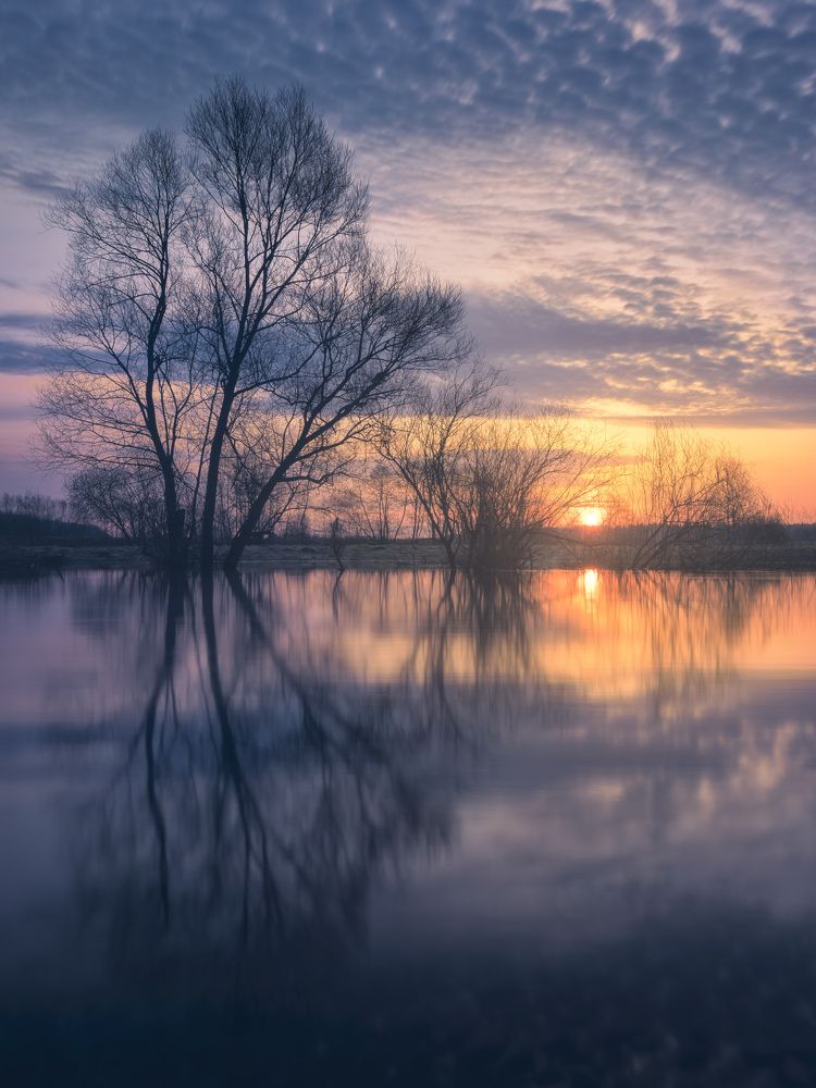 Photograph by  Алексей