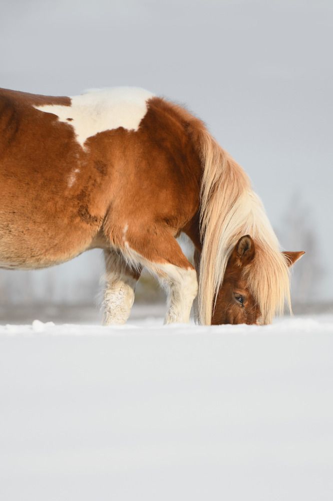 Photograph by Анастасия Тетерина