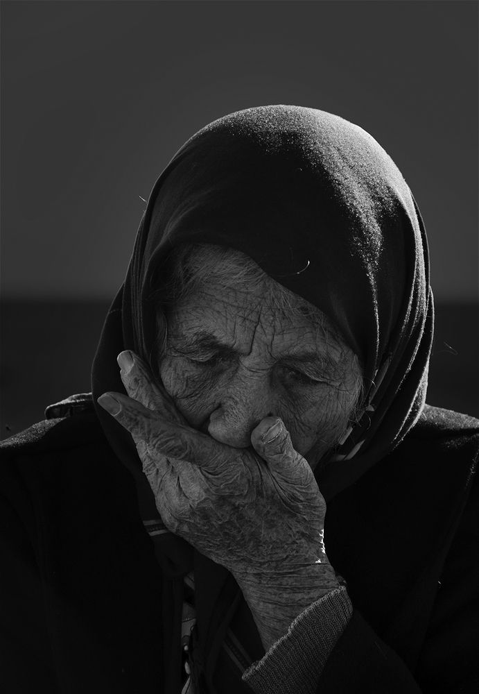 Фотография автора shima mokhtari