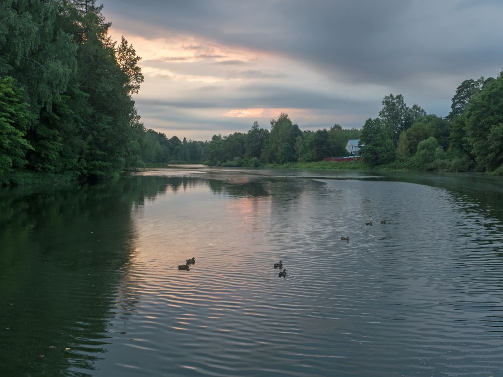 ДЕРЕВЕНСКИЙ ПЕЙЗАЖ