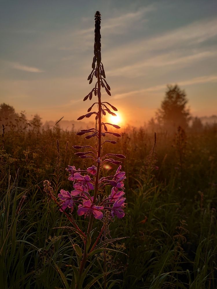 Photograph by Наталия Игоревна
