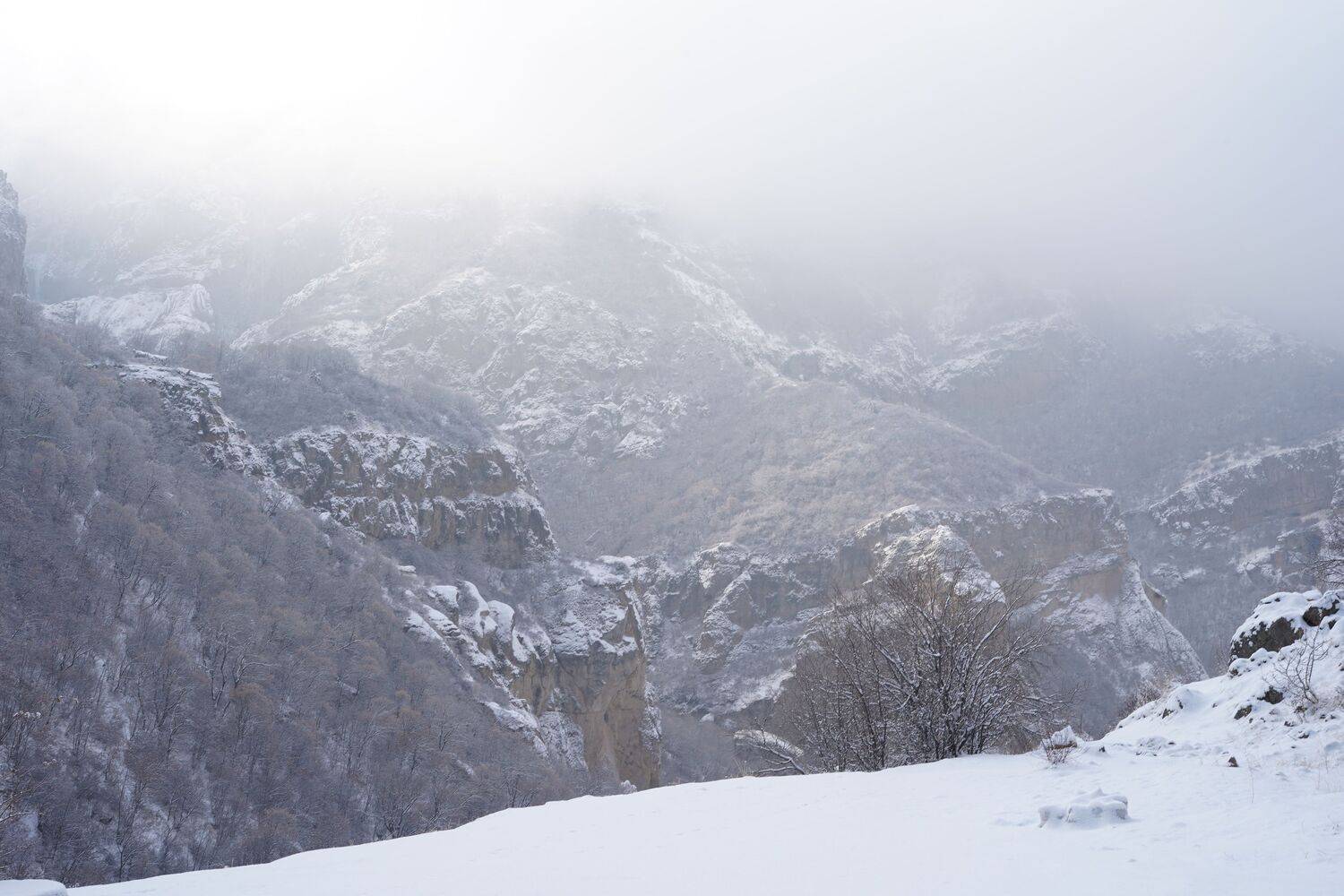 Photo #10222742